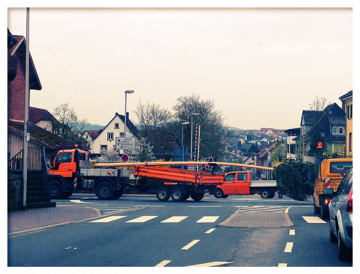 Maibaum-Transport