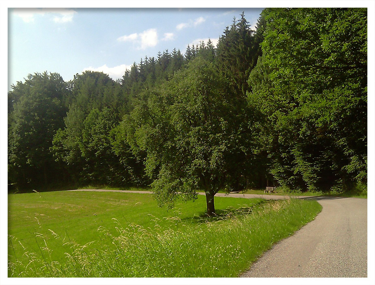 Unterwegs auf Gemeindeverbindungsstraßen #13