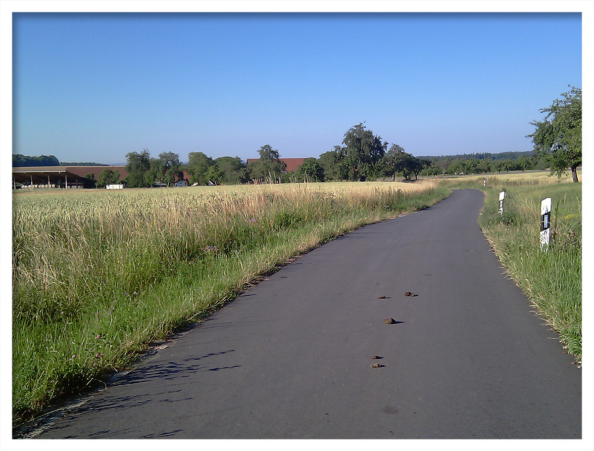 Unterwegs auf Gemeindeverbindungsstraßen #14