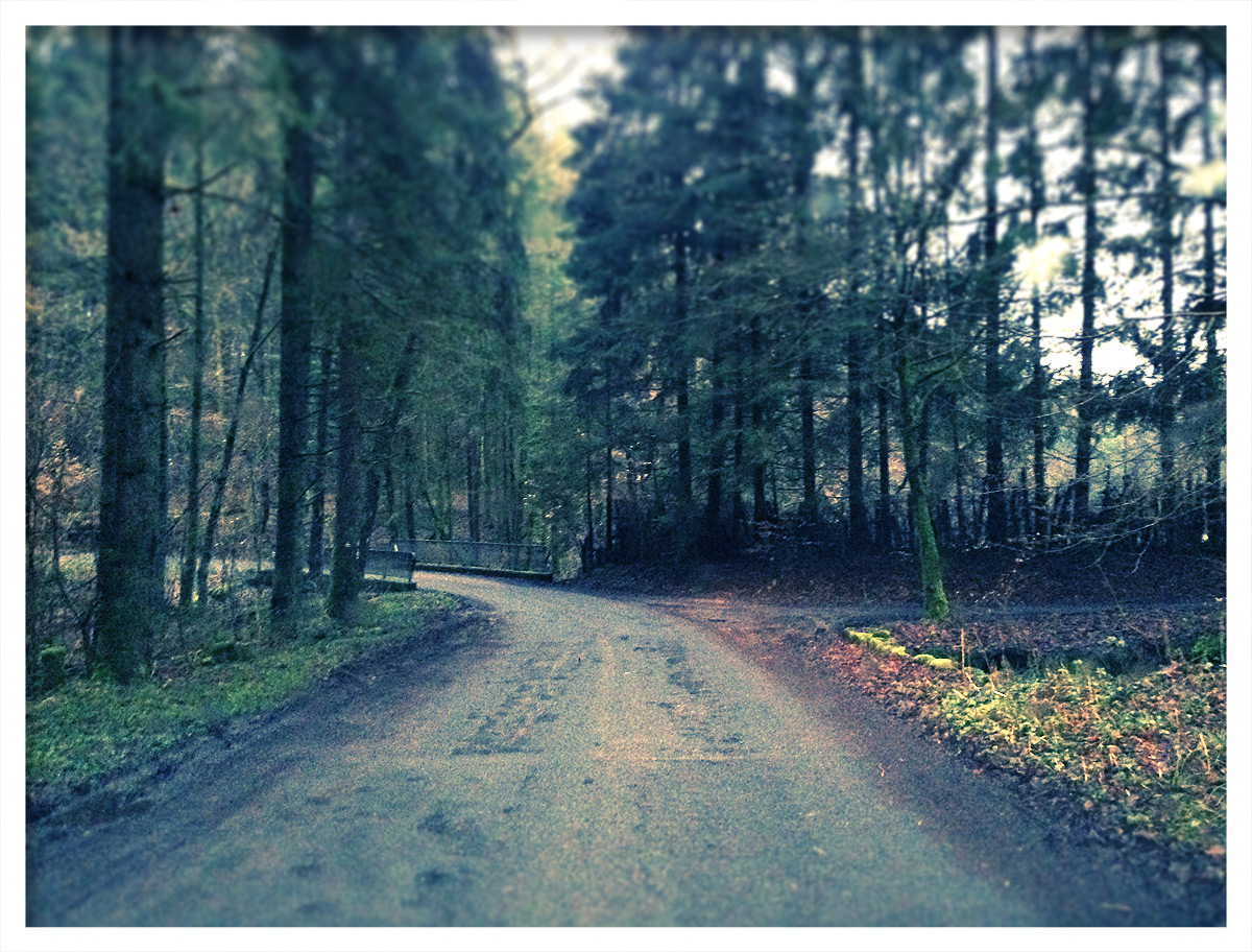 Unterwegs auf Gemeindeverbindungsstraßen #25