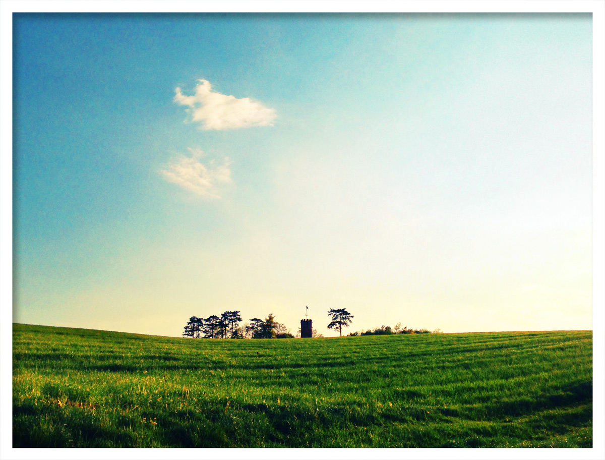 Wartturm im Frühling