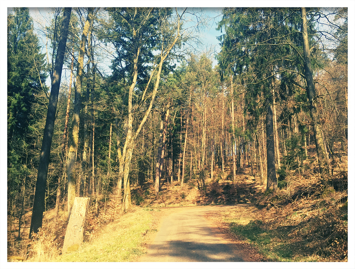 Unterwegs auf Gemeindeverbindungsstraßen #53