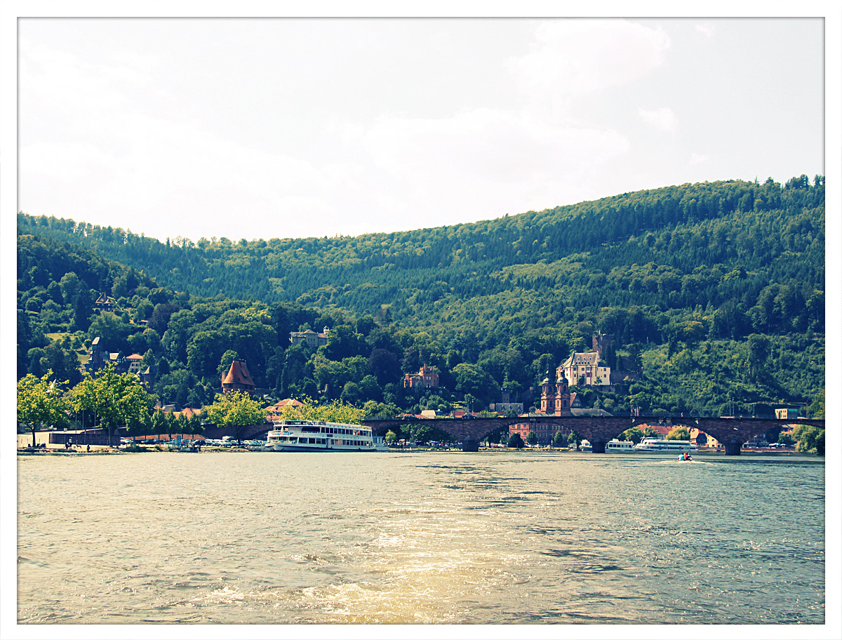 Miltenberg vom Main aus gesehen