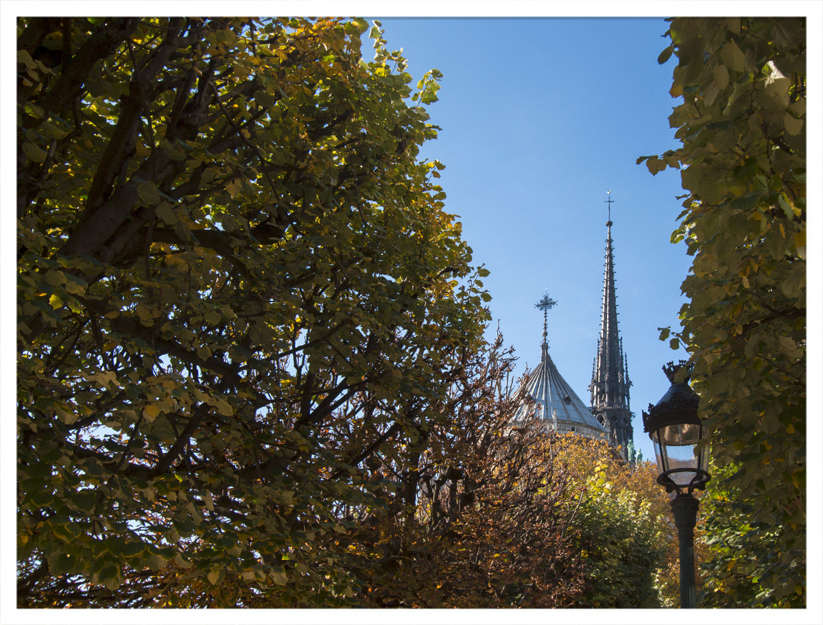 Notre Dame Rückseitig