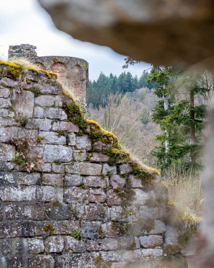 God is in the detials – oder auch im Odenwald.