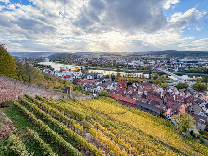 Blick von der Clingenburg auf den Main.